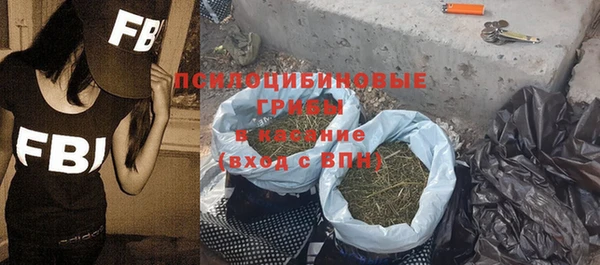 мдпв Богородск