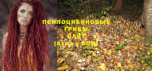 мяу мяу мука Богданович