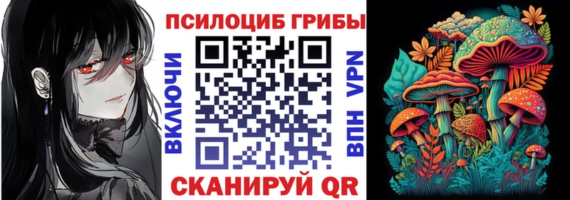 Галлюциногенные грибы мицелий  Купить где  Малмыж 